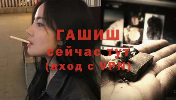 прущие грибы Пересвет