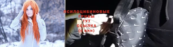 прущие грибы Пересвет