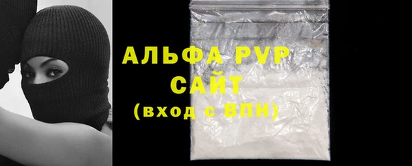 спиды Пестово