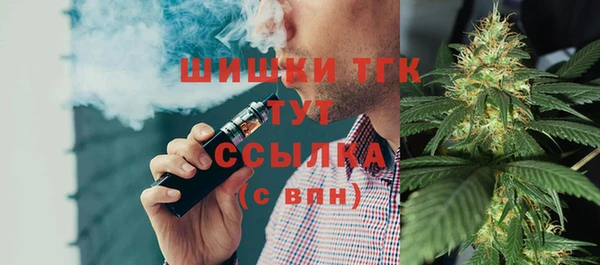 прущие грибы Пересвет