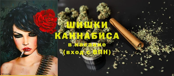 спиды Пестово