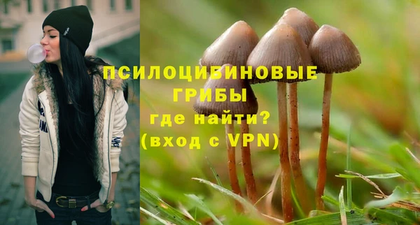 синтетический гашиш Переславль-Залесский