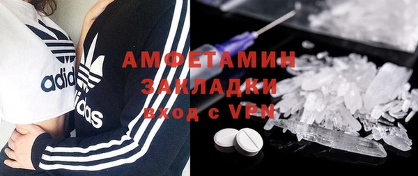 прущие грибы Пересвет