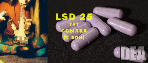 спиды Пестово